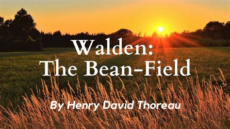  The Bean Field - Renkli Bir Manzara ve Duygusallıkla Dolu Bir Hikaye!